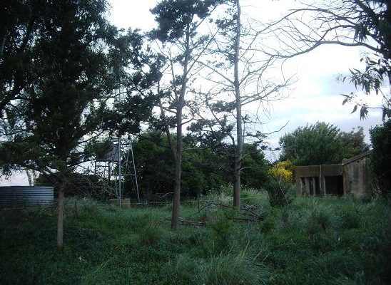 imgp0257