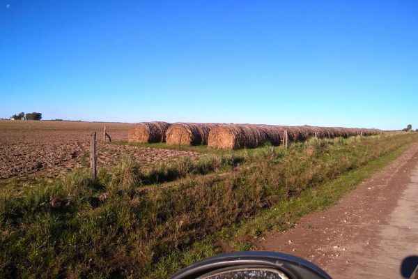 IMG-20170829-WA0009