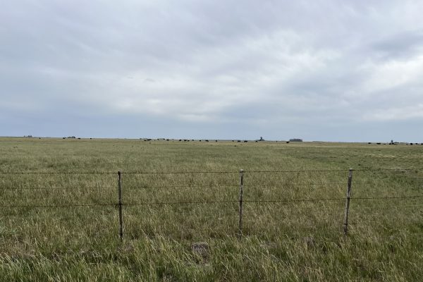 IMG_2207