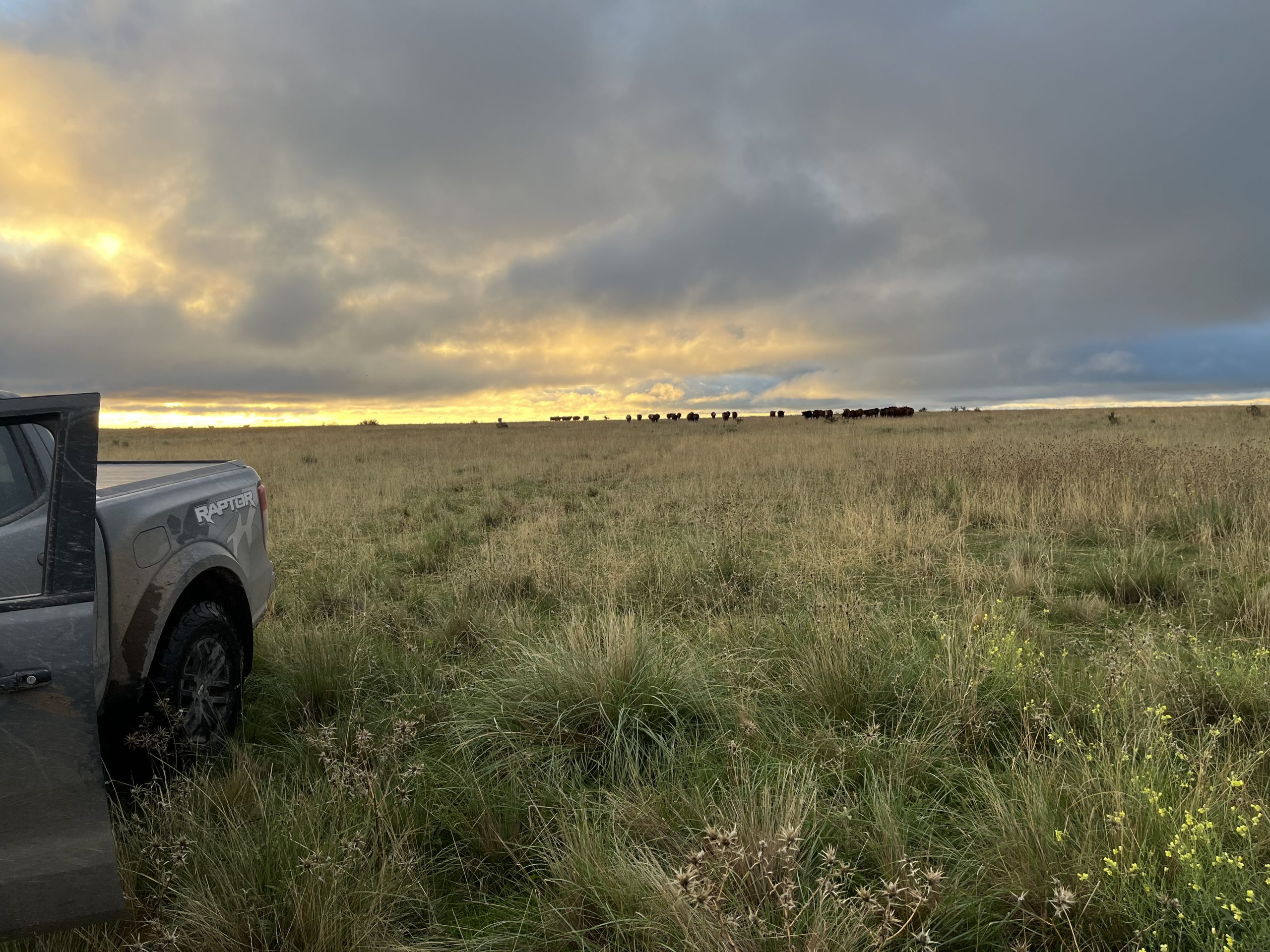750 hectáreas sobre RN35, Pdo. Puan