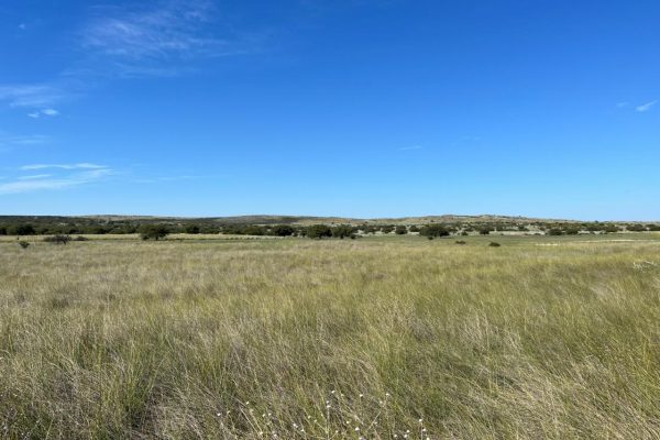 WhatsApp Image 2026-04-01 at 10.19.36 AM (1)