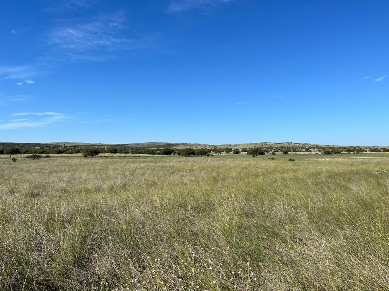 7500 hectáreas Algarrobo, Bs. As.