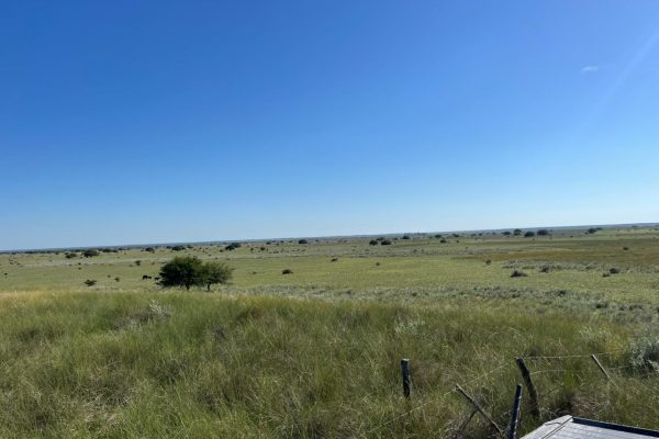 WhatsApp Image 2026-04-01 at 10.19.36 AM (2)