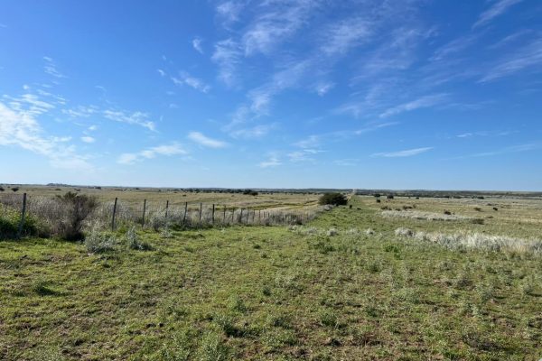 WhatsApp Image 2026-04-01 at 10.19.36 AM