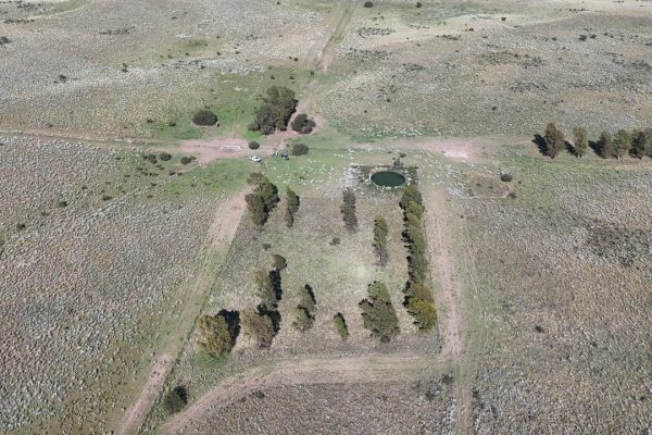 WhatsApp Image 2026-04-01 at 10.19.37 AM (1)