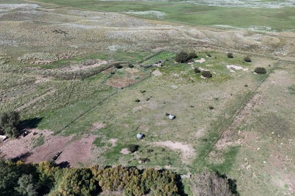 WhatsApp Image 2026-04-01 at 10.19.37 AM (2)