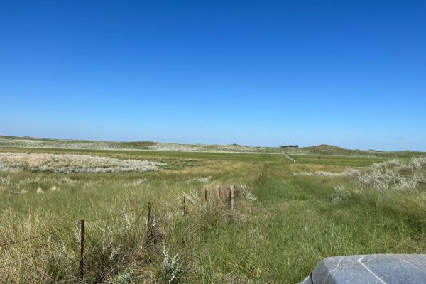 WhatsApp Image 2026-04-01 at 10.19.37 AM (3)