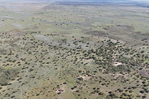 WhatsApp Image 2026-04-01 at 10.19.37 AM